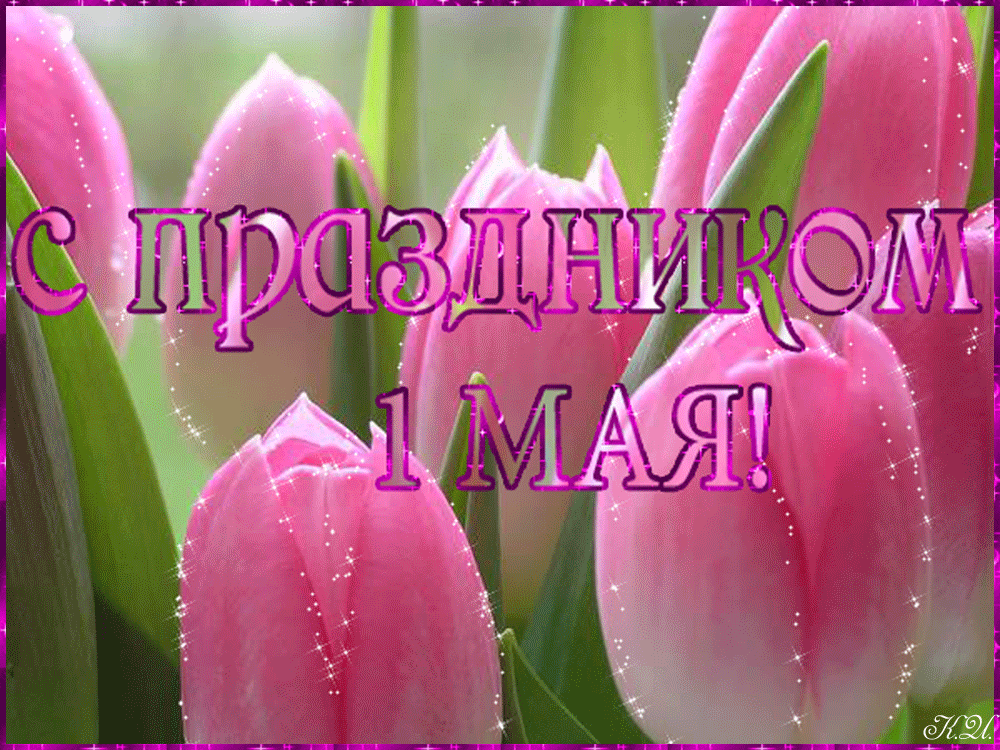 С Праздником 1 Мая! ПОЗДРАВЛЕНИЯ С 1 МАЯ